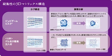 Long Lasting　～治療効果が長続き～